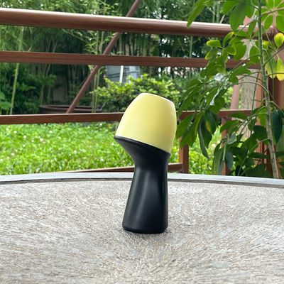 Spezielle Form Nachfüllbare Roll-On-Parfümflaschen Kunststoff-Roll-On-Flaschen für Aromatherapie-Mischungen